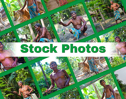 Project thumbnail - Stock Image | Stock Photos