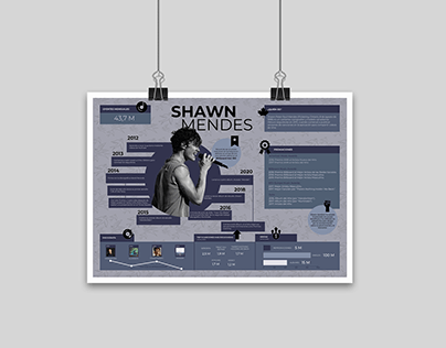 Infografía- Shawn Mendes
