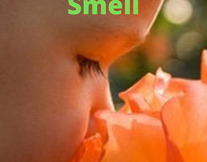 Sense of smell and the hidden secrets about your health