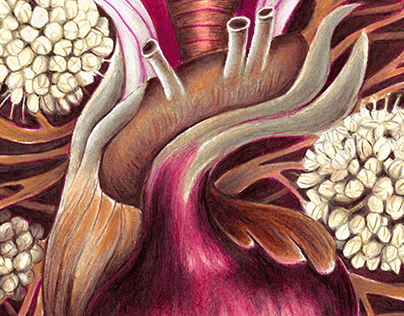 Illustration for The Onion by Wisława Szymborska
