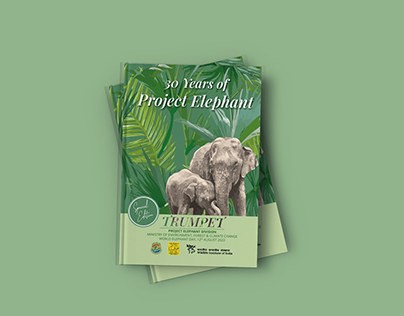 30 years of Project Elephant