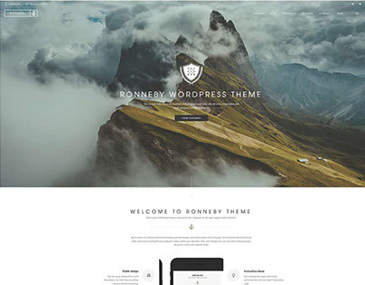 Ronneby -Multiconcept WordPress Theme by DFDevelopment