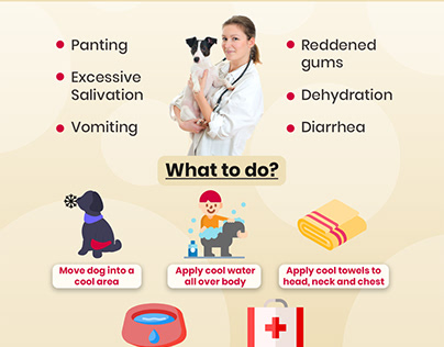 Heatstroke in Dogs | Pet Hydration Awareness Month