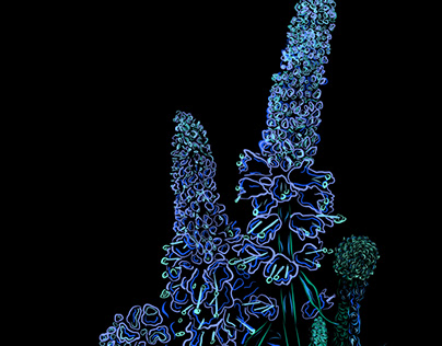 UV Wildflower
