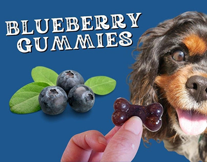 Healthy Blueberry Gelatin Dog Treats | 3 Ingredient