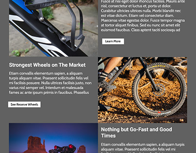 Roar Cycle website design