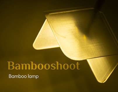 Bambooshoot