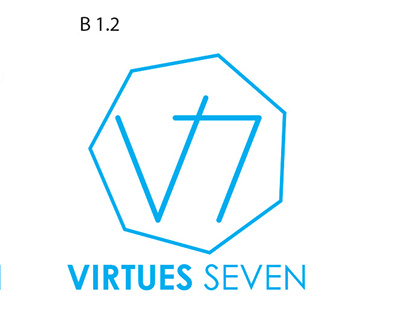 Virtues Seven: Branding for a Martial Arts Studio