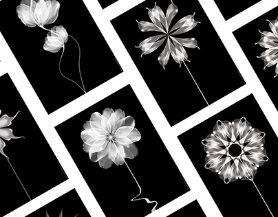Poster Collection X-Ray Flowers