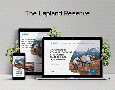 The Lapland Reserve, Web Design/Лапландский заповедник