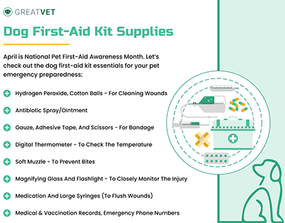 Dog First-Aid Kit Supplies dog first aid kit