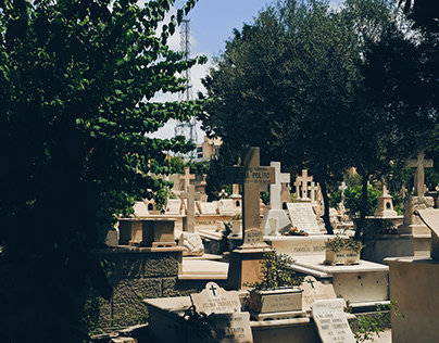 Latin Cemetery - Alexandria - Prjoect