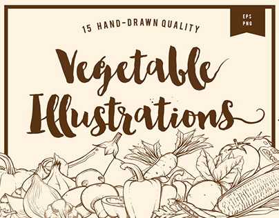 Hand drawn vegetable illustrations