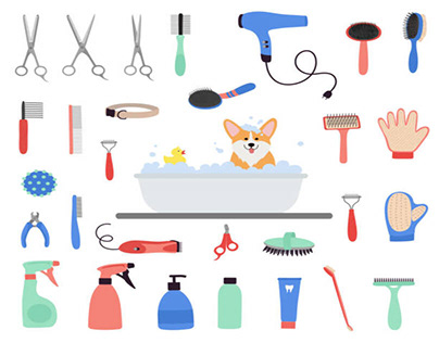 Dog Grooming Accessories