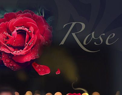 12/8/2021 - Rose Collage