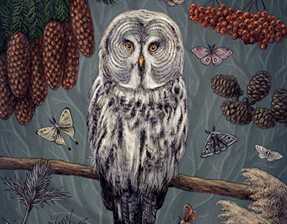 The owl and moths