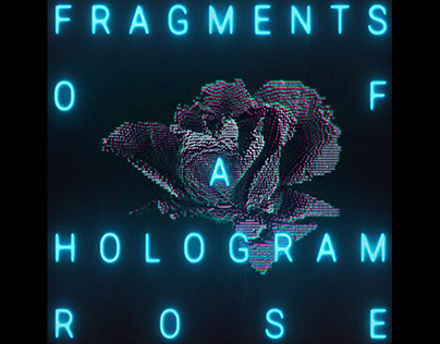 Fragments of a hologram rose