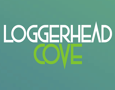 Loggerhead Cove: A Charitable Sea Turtle Event