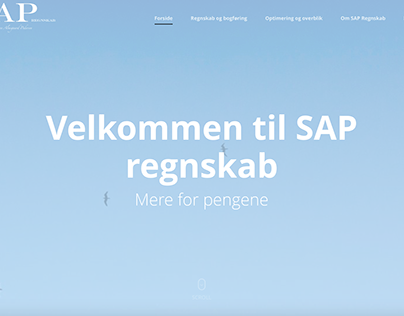 SAP REGNSKAB - WEB SITE