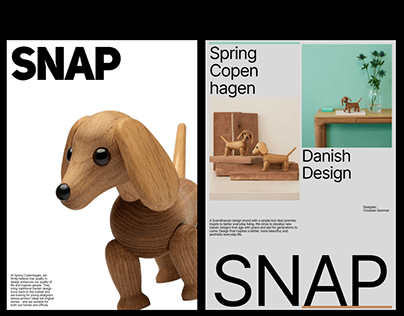 Posters and Product Cards: Snap Wooden Toy