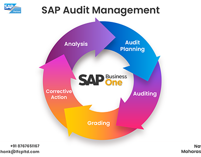 SAP Audit | SAP Support and Maintenance Services