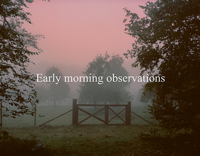 Early morning obersvations