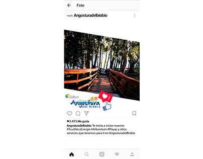 Plantilla Instagram Angostura Del Bio Bio