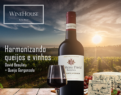 Posts Redes Sociais Wine House SP, Harmonizando Vinhos.