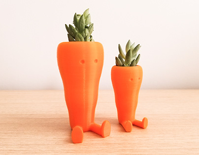 Carrot Boy / 3D printed planter
