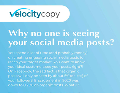 Velocity Copy Social Media Posting Guides