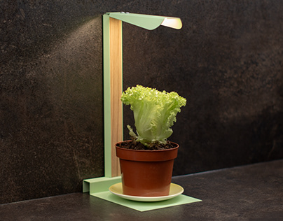 Plant Growing Lamp "EcoLum"
