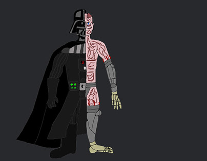 anatomia externa de Darth Vader