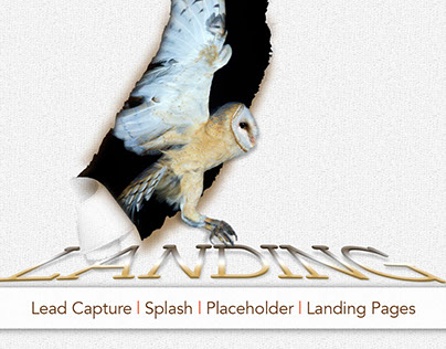 Lead Capture, Splash and Landing Page Design