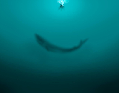 "La ballena azul"