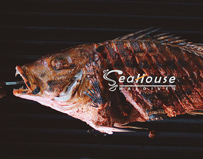 SEAHOUSE : Your local cafe