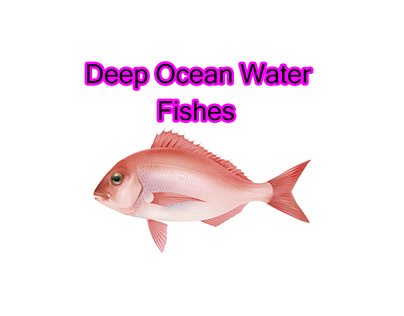 Deep Ocean Water With Fishes Video