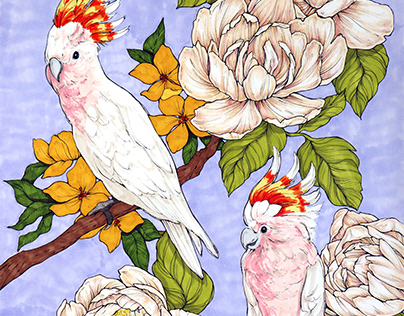Project thumbnail - Aussie cockatoos