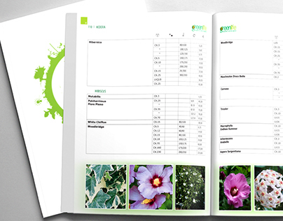 GreenLife catalog design
