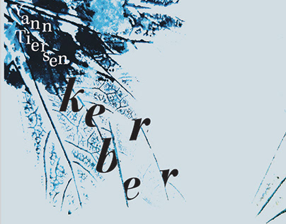 Yann Teirsen Kerber Album Redesign