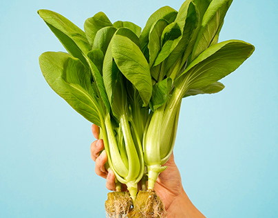 SHOOT FOR CAMPAIGN "BOK CHOY"