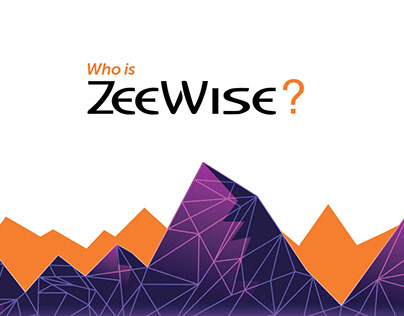 ZeeWise explainer promo