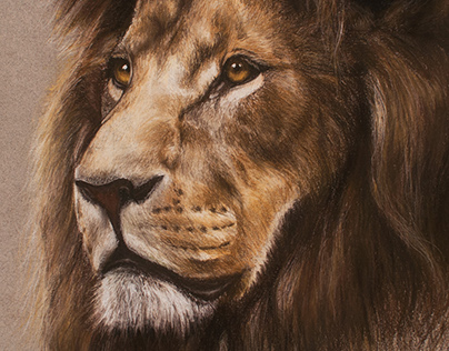 Pastel: Leo the Lion