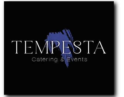 Tempesta project Idenity logo