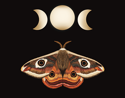 Mothy Moons Print