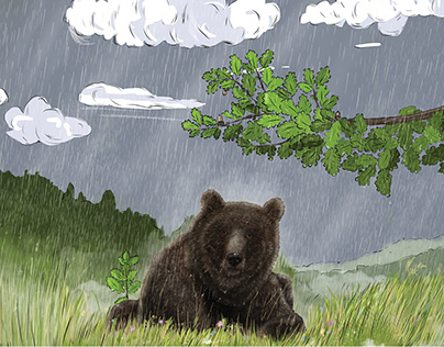 Bear in the rain