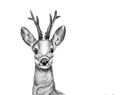 Deer - Digital Painting