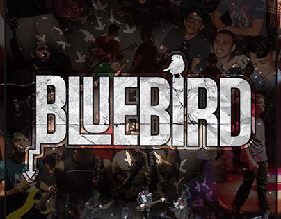 Banner Bluebird