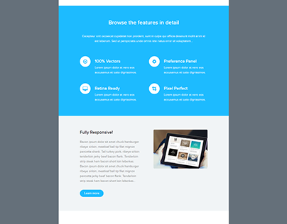 Email Template by Mailchimp & WordPress