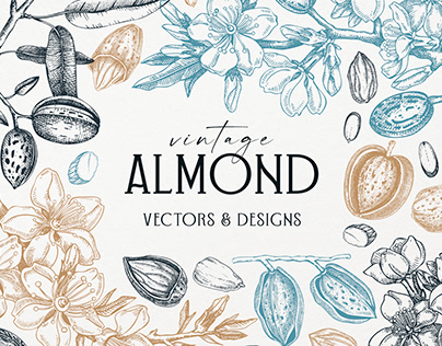 Vintage Almond Nut Vectors & Designs