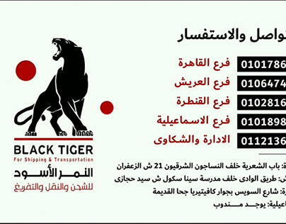 Black Tiger Promo Video